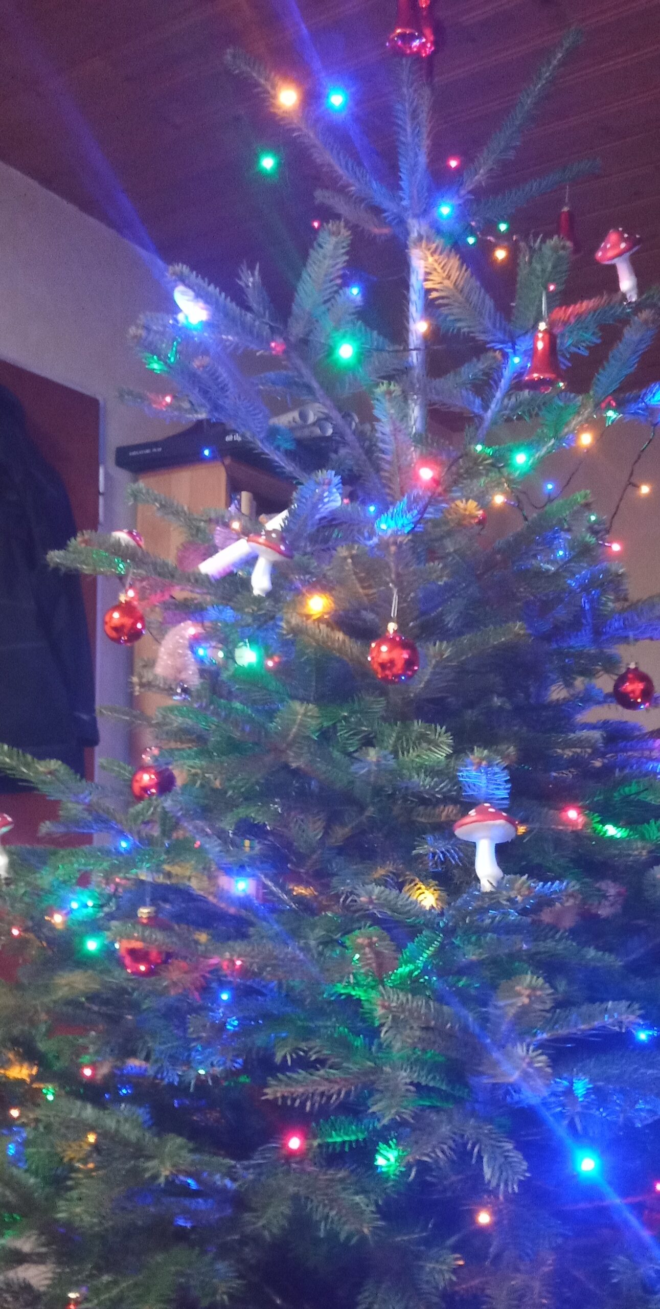 Weihnachtsfeier im Wasserhaus 2025